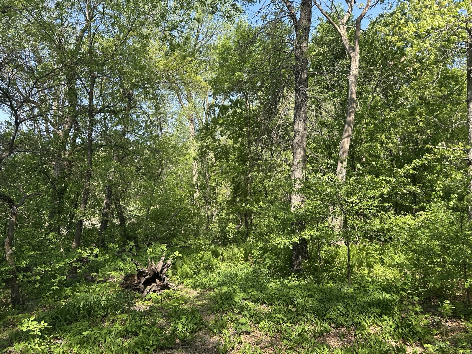 Slideshow image 1
